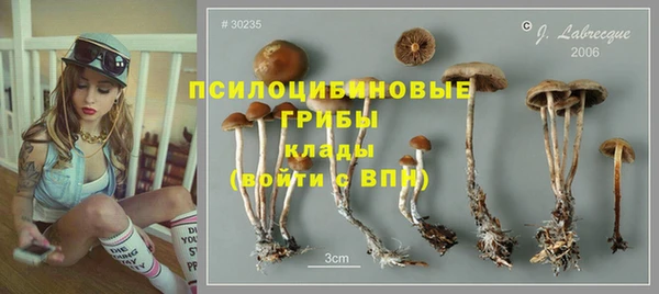 дмт Беломорск