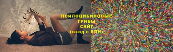 ПСИЛОЦИБИНОВЫЕ ГРИБЫ Балахна