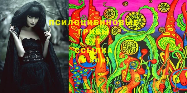 ПСИЛОЦИБИНОВЫЕ ГРИБЫ Балахна